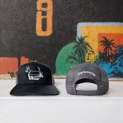 Black/Graphite Cap